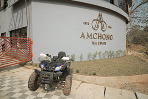 Exploring the Rich Heritage of India’s Tea Estates: Amchong Park and Resorts