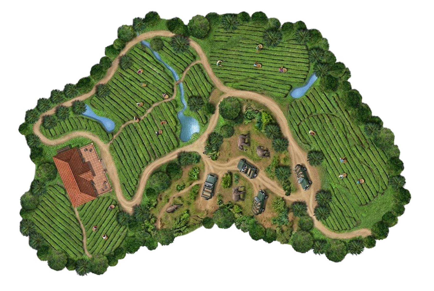 Delicious meal awaits